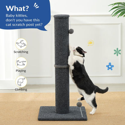 Ultimate Scratching Post for Cats