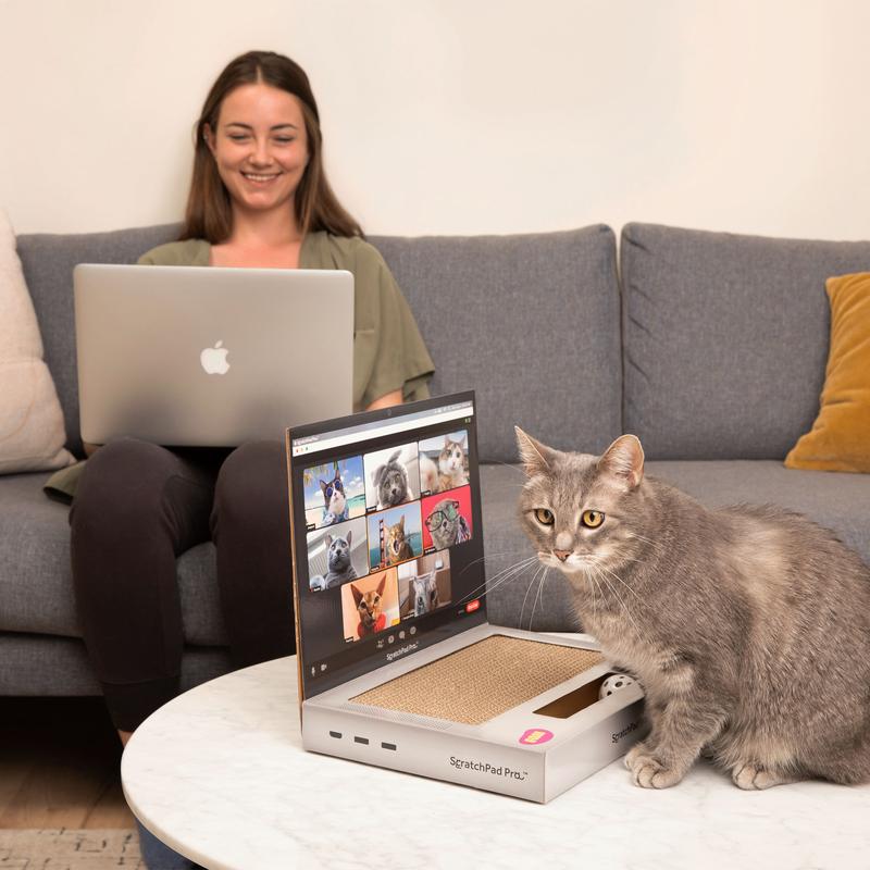ScratchPad Pro  Cardboard Laptop Cat Scratcher