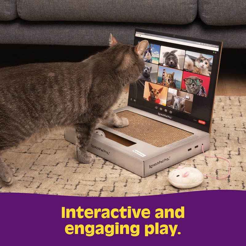ScratchPad Pro  Cardboard Laptop Cat Scratcher