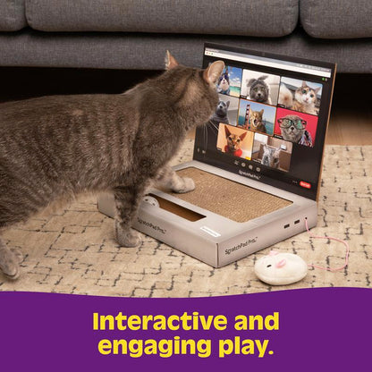 ScratchPad Pro  Cardboard Laptop Cat Scratcher