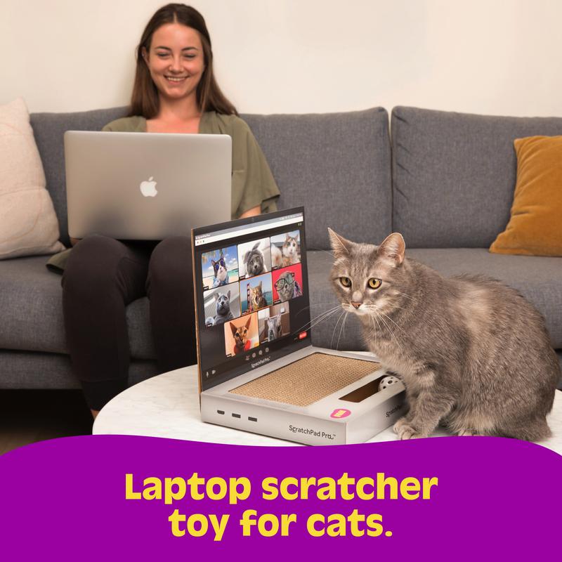 ScratchPad Pro  Cardboard Laptop Cat Scratcher