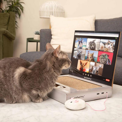 ScratchPad Pro  Cardboard Laptop Cat Scratcher