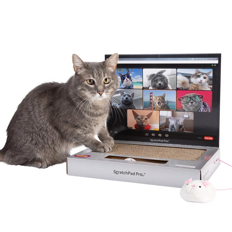 ScratchPad Pro  Cardboard Laptop Cat Scratcher