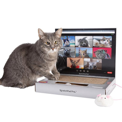ScratchPad Pro  Cardboard Laptop Cat Scratcher