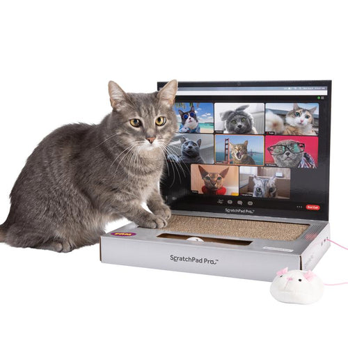 ScratchPad Pro  Cardboard Laptop Cat Scratcher